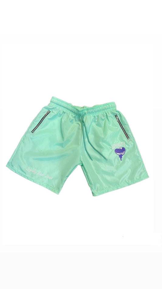 Turquoise Swisher Shorts
